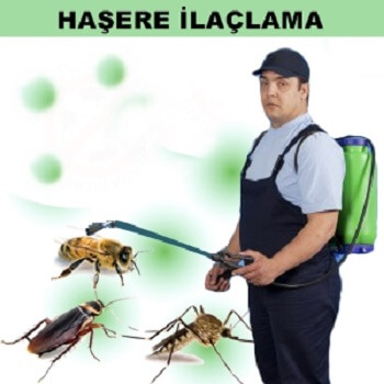 Emet Böcek İlaçlama